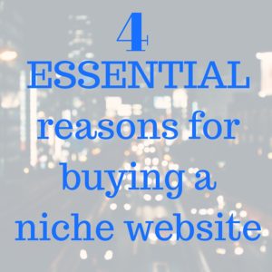 buying a niche website